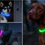 Led Dog Collar Light up USB Cat and Dog Collar 3 Modes Led Light Light up Loss Prevention LED Collar Dog Pet Dog Accessories