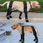 Dog Suspender Boots Waterproof Paw Protectors Non-slip Pets Paws Protector Adjustable Walking Shoes Booties Dog Paw Protectors