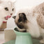 Pet Cat Dog Bowl High Foot Dog Bowl Neck Protector Cat Pet Food Water Bowl Anti-Overturning Binaural Washable Pet Feeding Bowl