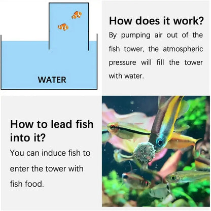 Fish Aquarium Tank Small Transparent Fish Elevator Tank Lightweight Acrylic Inverted Above Water Fish Tank Aquariums Fish Bowls