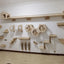 Wall Mounted Cat Climbing Wooden Shelves Cat Hanging Bed or Hammock with Sisal Ladder and Scratching Post for Kitten Playing