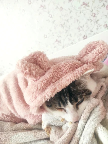 Clothes For Cat Sphinx Jacket Cat Clothes Egyptian Kitten Clothing Dog Hoodie Yorkshire Sweater Puppy Pet Chihuahua Hairless Xs