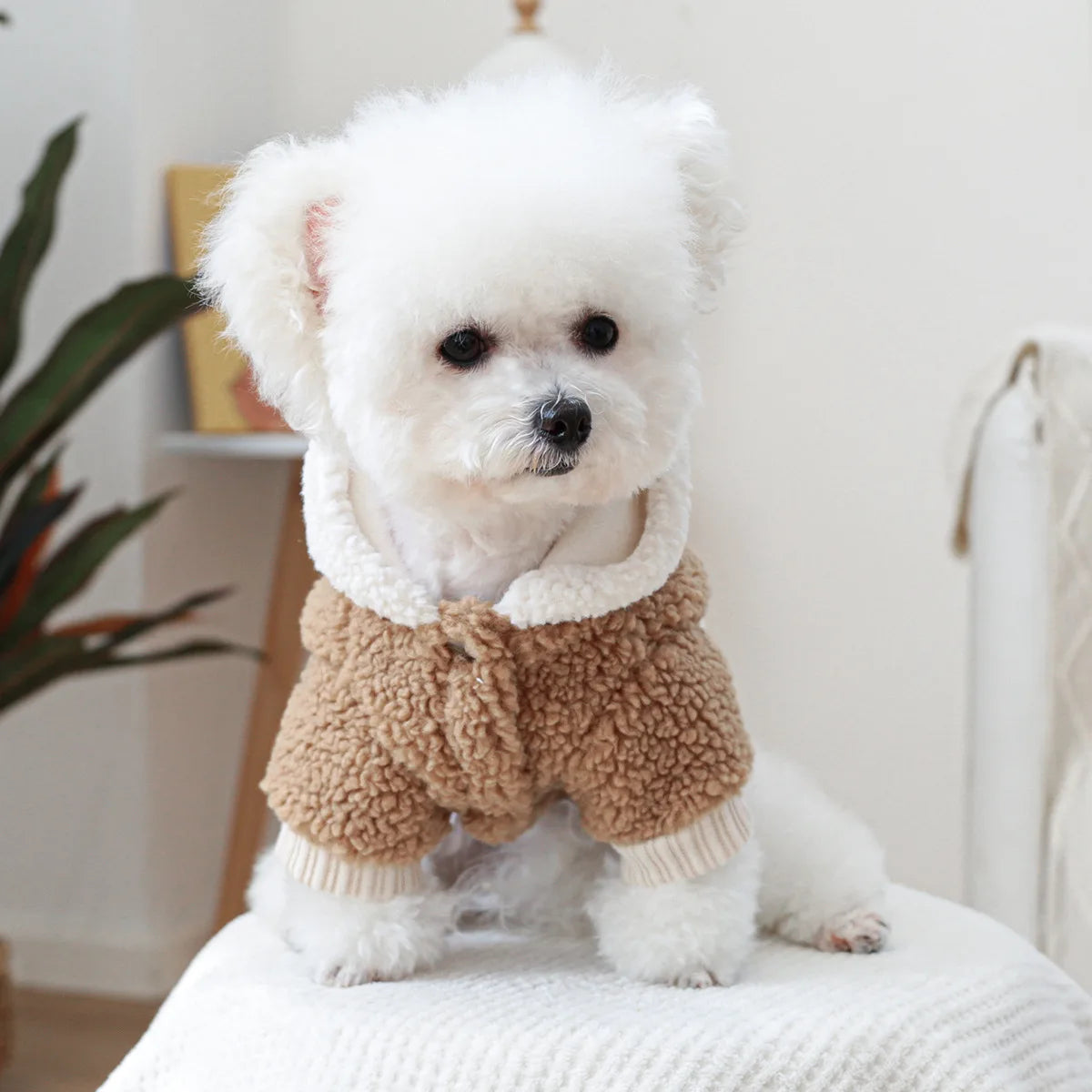 Thicken Warm Sherpa Fleece Dog Coat Winter Dog Clothes for Small Medium Dogs, Puppy Hooded Sweater Yorkie Chihuahua Pet Apparel