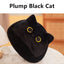 Kawaii Black Cat 20cm Plush Doll High Quality Plump Animal Kitten Stuffed Soft Gifts for Boys Girls Friends Decorate Childrens