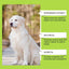 Dog Joint And Hip Supplement 60ml Liquid Dog Hip And Joint Supplement Puppy Multivitamin Dog Supplement Drops For Puppies Adult