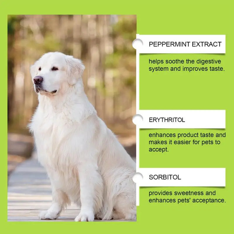 Dog Joint And Hip Supplement 60ml Liquid Dog Hip And Joint Supplement Puppy Multivitamin Dog Supplement Drops For Puppies Adult