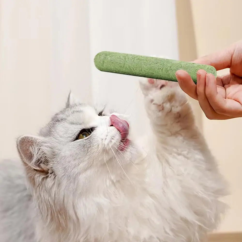 Cat Grass Teething Stick Cat Grass Sticks Pet Snacks Natural Grass Molar Rod Cat Chew Stick Teeth Cleaner Teeth Caring