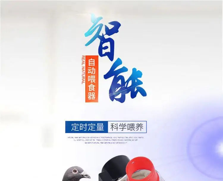 Automatic Chicken Feeder Pigeon Chicken Duck Carrier Pigeon Trough Intellegent Timing Automatic Chicken Feeder Pigeon Supplies