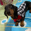 Bowtie Dog Blouse Classical Breathable Plaid T-Shirts Summer Dog Clothes for Small Dogs Puppy Large Cat Vest Chihuahua Yorkies