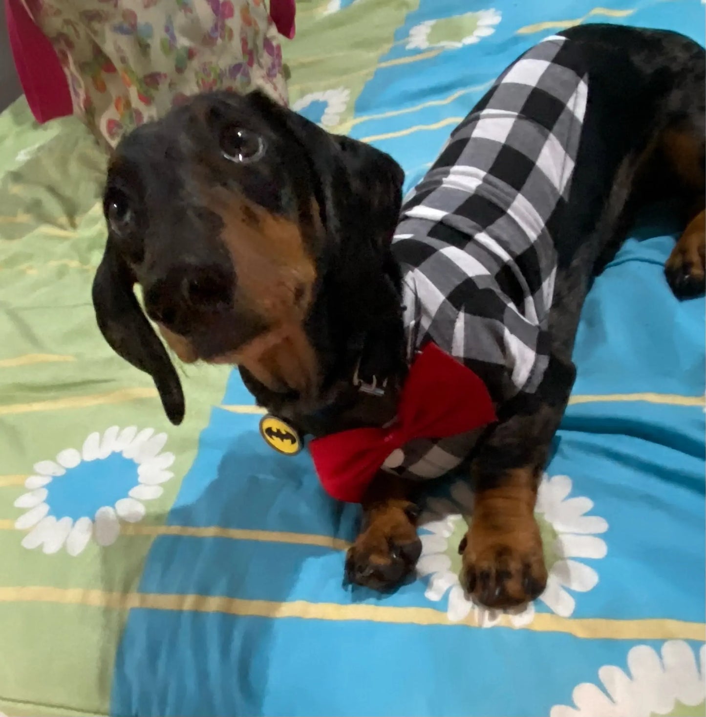 Bowtie Dog Blouse Classical Breathable Plaid T-Shirts Summer Dog Clothes for Small Dogs Puppy Large Cat Vest Chihuahua Yorkies