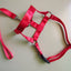 Nylon Dog Muzzle for Small Medium Large Dogs Adjustable Anti Barking Biting , Control Pet Leader Dog Head Collar Halter Leash