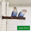 Natural Wood Pet Parrot Raw Wood Fork Tree Branch Stand Rack Squirrel Bird Hamster Branch Perches Chew Bite Toys Stick Supplies