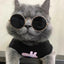 Anti-slip Cat Sunglasses Pet Accessories Small Dog Sun Glasses Classic Retro Circular Glasses for Kitten Photos Props Cosplay