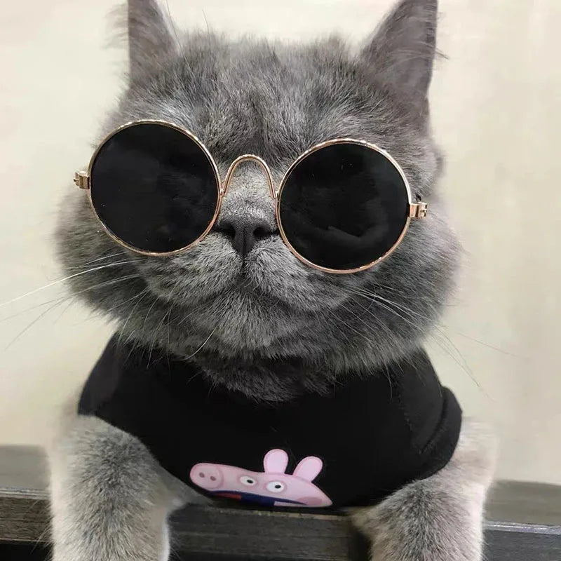 Anti-slip Cat Sunglasses Pet Accessories Small Dog Sun Glasses Classic Retro Circular Glasses for Kitten Photos Props Cosplay