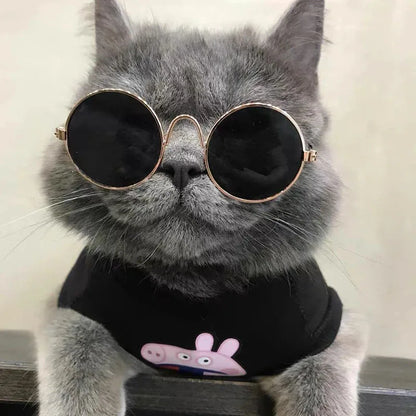 Anti-slip Cat Sunglasses Pet Accessories Small Dog Sun Glasses Classic Retro Circular Glasses for Kitten Photos Props Cosplay
