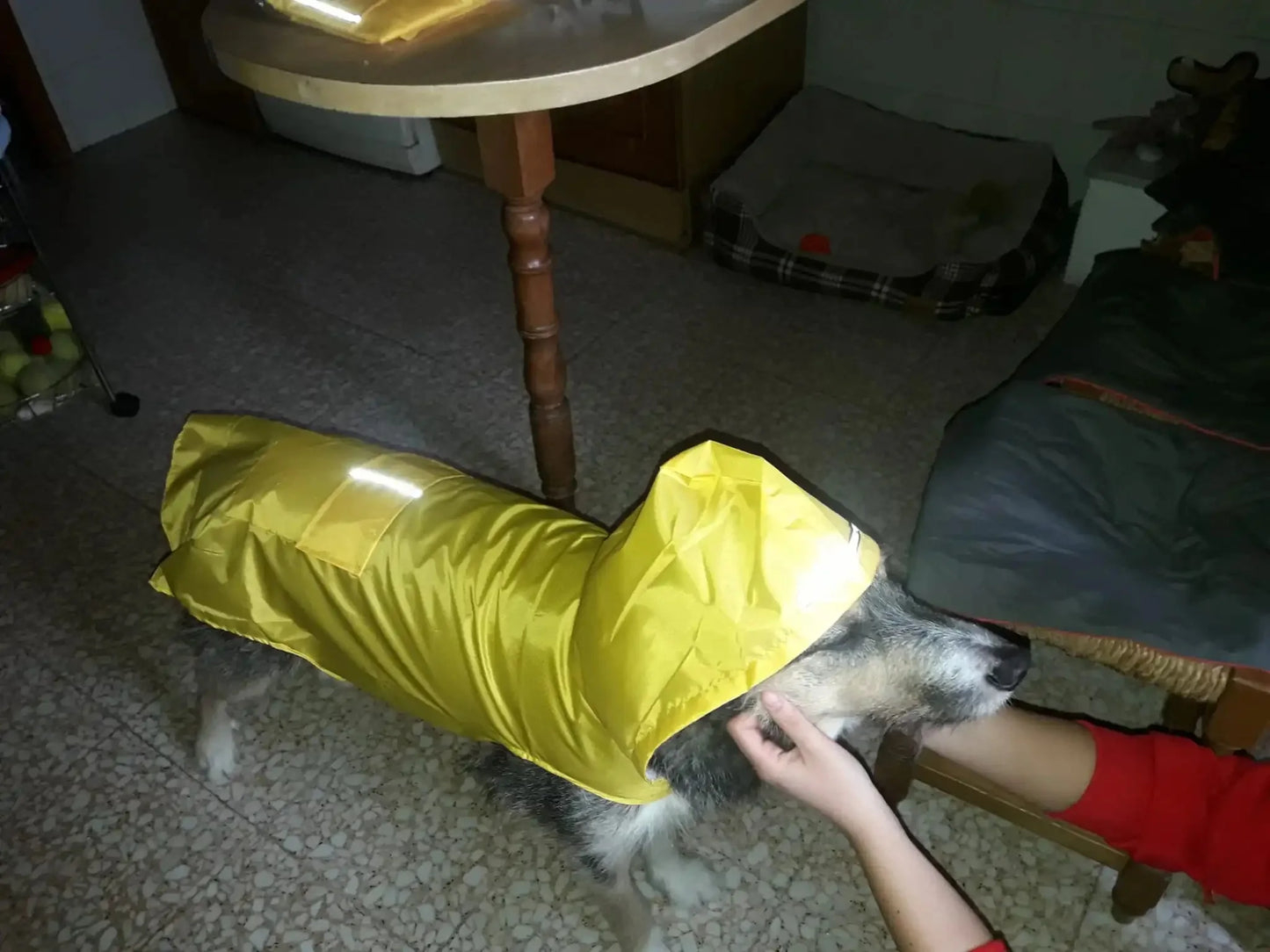 Big dog raincoat reflective waterproof windproof hooded raincoat large dog clothing outdoor raincoat  dog clothing jacket