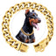 Chew Proof Stainless Steel 19MM Gold Dog Chain Collar with Solid Buckle Pet Chains Collars for Large Dog