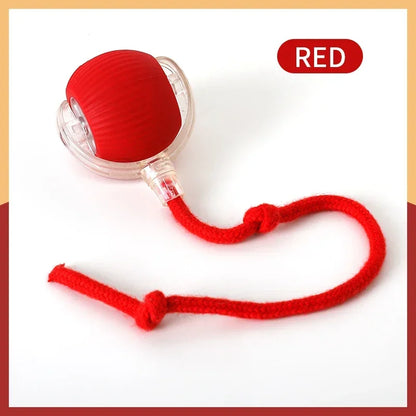 New Smart Cat Dog Toys Automatic Rolling Ball Fake Tail Rechargeable Electric Cat Bite Resistant Interactive Toy Pet Products