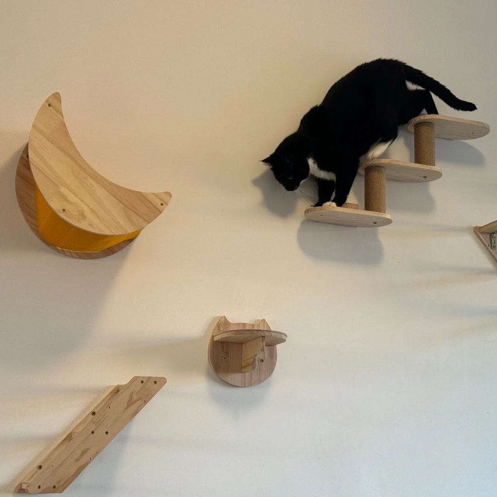 1 Piece Wall Mounted Cat Hammock and Jumping Platform with Ladder Stairway Wooden Cat Furniture for Kitten Sleeping and Playing