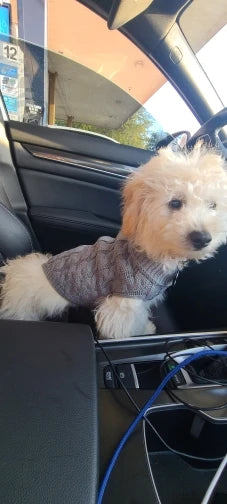 Warm Dog Clothes Knitted Clothes for Dogs Chihuahua Sweater for Small Dogs Winter Clothes for Sphinx Cat Dog Sweater for York