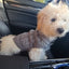 Knitted Clothes For Dogs Chihuahua Sweater For Small Dogs Winter Clothes For Sphinx Cat Dog Sweater For York Warm Dog Clothes