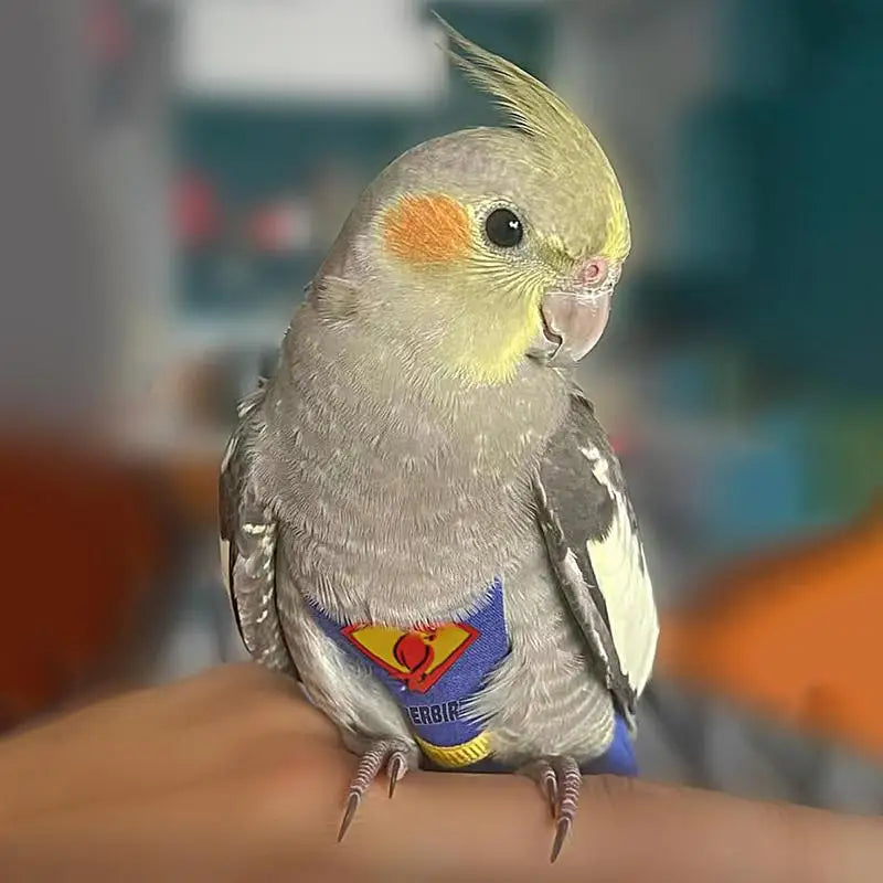 Parrot Diaper Cute Bird Physiological Diaper Cockatiel Pigeons Small Medium Large Pet Birds Flight Suit Clothes Nappy Washable