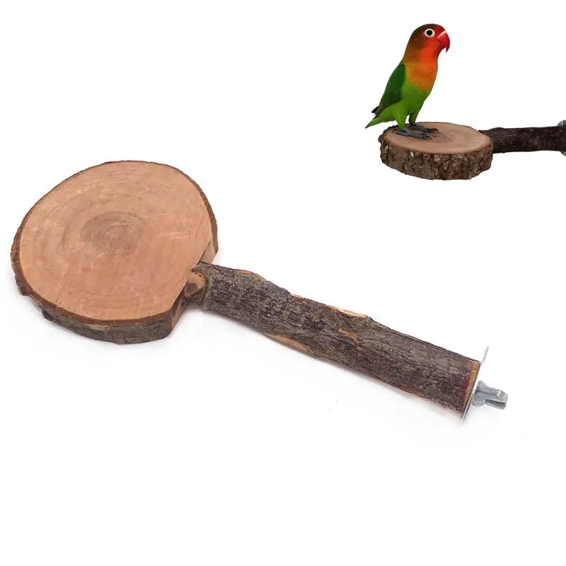 Natural Wood Pet Parrot Raw Wood Fork Tree Branch Stand Rack Squirrel Bird Hamster Branch Perches Chew Bite Toys Stick Supplies