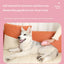 Colored Pet Steam Beauty Comb Cleanable Floating Hair Remove Tangled Hair No Need To Take A Shower Universal For Cat And Dog