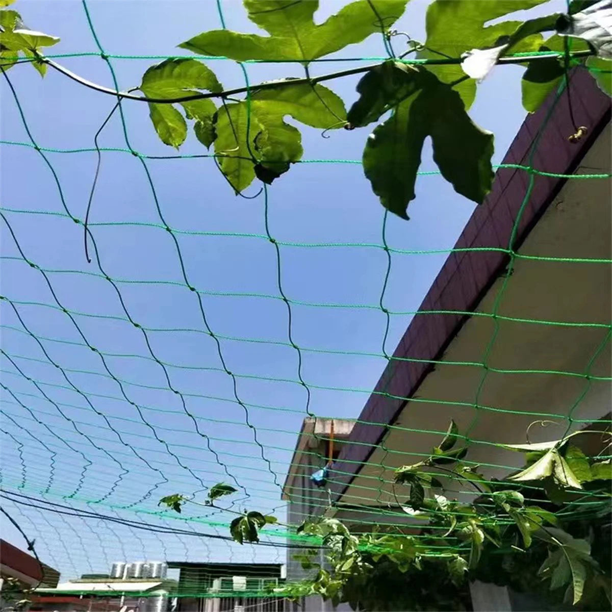 Green Anti-Bird Netting for Ponds, Pools, Gardens - Protects Plants, Fruits, Vegetables from Pests