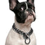 Stainless Steel Dog Chain Collar, Rose Gold Pet Necklace, Strong P Chain Choker for Small and Big Dogs, 15mm Width