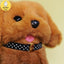 Electric plush toy pet puppy children men and women birthday holiday gifts cute teddy dog hot sale