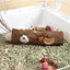 Hamster Natural Wooden Tunnels Tubes Bite-resistant Hideout Tunnel Molar Toy For Small Pet Toy Forest Hollow Tree Trunk
