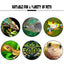 Frog Habitat Cute Frog Shaped Wall-Mounted Tank Decoration For Frog Cute Frog Terrarium Decor Fish Tank Tree Frog Habitat For