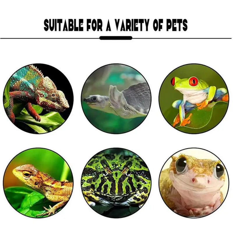 Frog Habitat Cute Frog Shaped Wall-Mounted Tank Decoration For Frog Cute Frog Terrarium Decor Fish Tank Tree Frog Habitat For