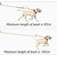 Doberman Pinscher Big Dog Collar and Leash Outdoor Train Pet Collars for Medium Large Dogs German Shepherd mascotas Accessories
