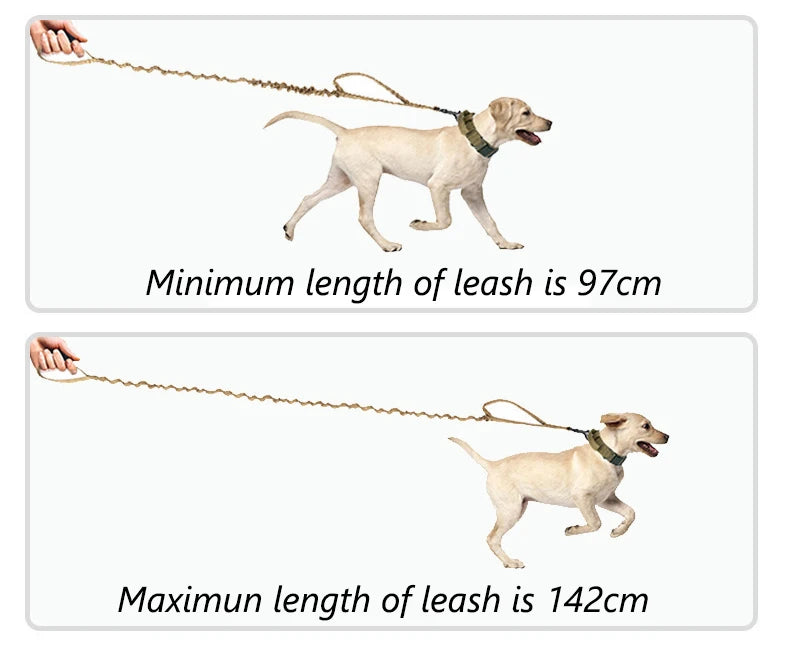 Doberman Pinscher Big Dog Collar and Leash Outdoor Train Pet Collars for Medium Large Dogs German Shepherd mascotas Accessories
