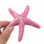 UXCELL Aquarium Artificial Starfish Pink Emulational Coral Fish Tank Polyresin Starfish Decoration Sea Star Shape Ornament