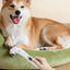 Rechargeable Dog Paw Trimmer Dog Paw Grooming Low Noise Cordless Dog Grooming Kit 2 Speed Pet Hair Shaver For Paws Beauty Tool