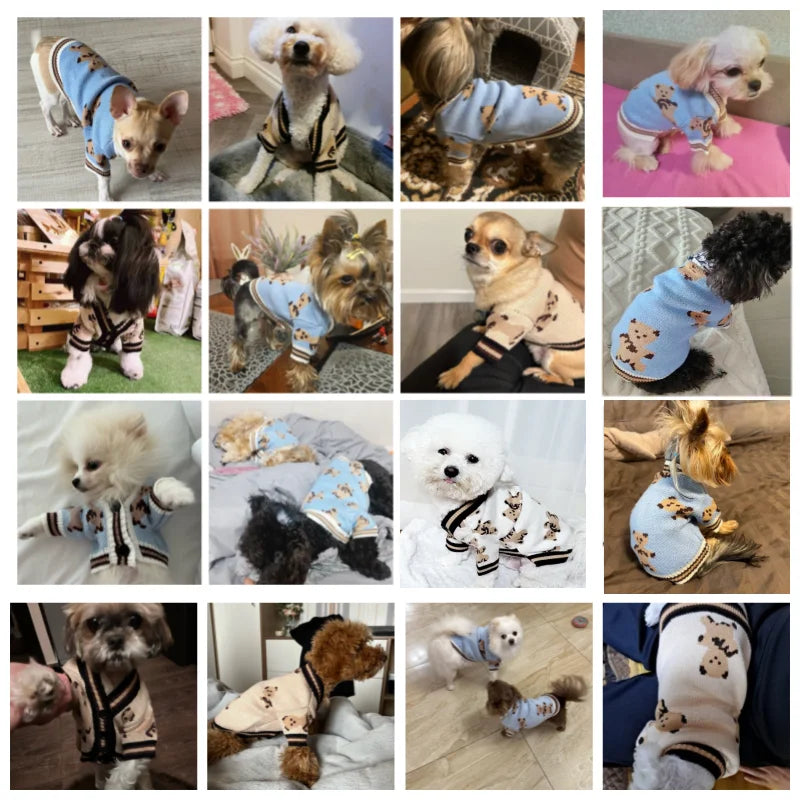 Luxury Dog Sweater Pet Cardigan Striped Knitted Dog Coat Chihuahua Warm Clothes Winter Jackets for Dog Bichon Dog Accessories