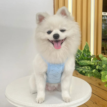 Spring and summer small dog clothing minimalist suspender thin breathable small and medium-sized dog pet cat clothing supplies