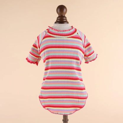 Winter Dog Clothes For Small Dog Large Dog Clothes Dog Shirt Cat Apparel Pet Products Spring Cat Shirt Spring Medium Chihuahuas