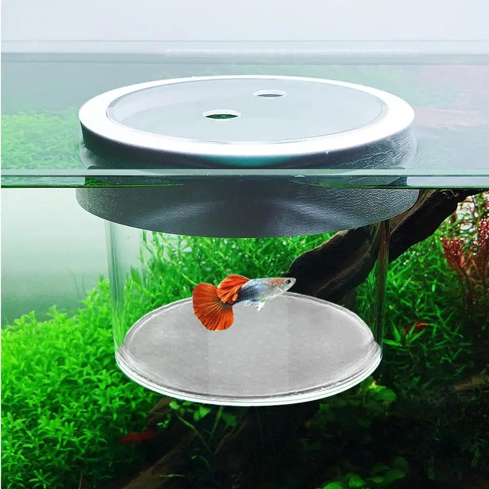 Floating Hatching Box Fish Tank Hatching Incubator Acrylic Aquarium Breeder Feeder Fine Mesh Aquarium Breeder Box Fish Breeding