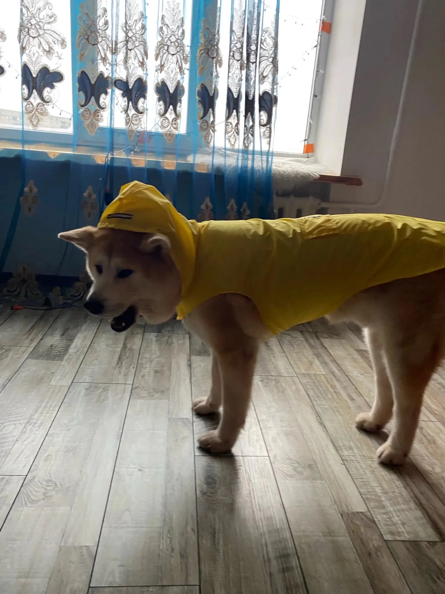 Big dog raincoat reflective waterproof windproof hooded raincoat large dog clothing outdoor raincoat  dog clothing jacket