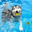 Dogs Bouncing Ball Toys Pet Interactive Cat Ball Toy Dog Chew Toys For Indoor And Outdoor Dogs Puppy Training