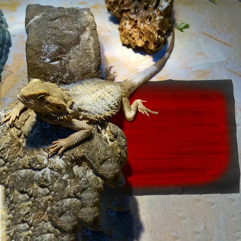 Lizard Heating Pad USB Plug In Pet Heating Pad Waterproof Foldable Heated Cushion Low Consumption Pet Warming Mat For Lizard