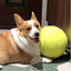 Giant Tennis Ball For Dog Chew Toy Pet Dog Interactive Toys Big Inflatable Tennis Ball Pet Supplies Outdoor Cricket Dog Toy