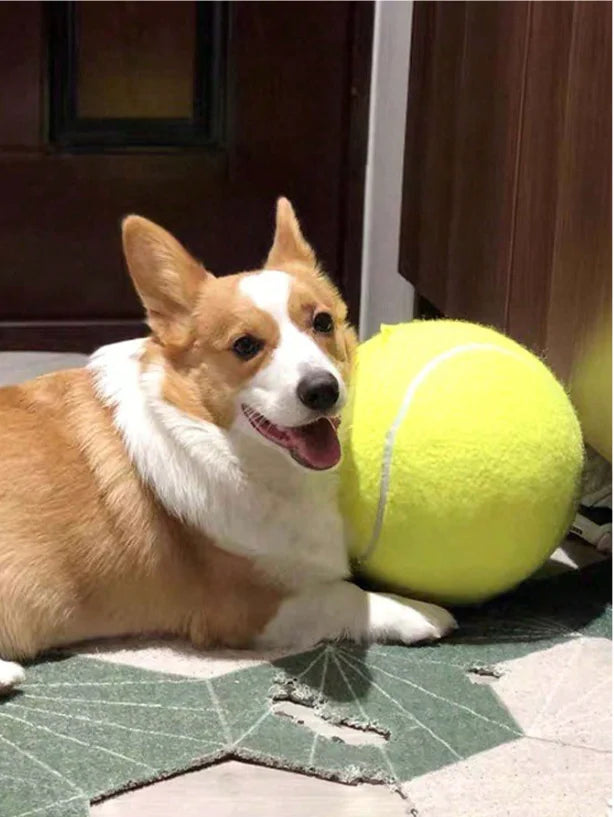 Giant Tennis Ball For Dog Chew Toy Pet Dog Interactive Toys Big Inflatable Tennis Ball Pet Supplies Outdoor Cricket Dog Toy