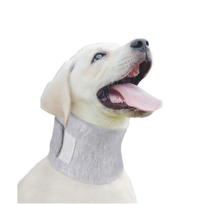 Dog Neck Brace Elizabethan Collar for Pet After Surgery Recovery Wound Protect, Adjustable Cervical Cone for Small Medium Dogs