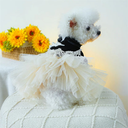 Sweet Princess Female Puppy Summer Clothes Wedding Party Dress for Dogs White Lace French Bulldog Small Medium Pet Cat Clothing