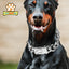 Stainless Steel Dog Collar Choker, Solid Buckle Metal Cuban Link Chain, Luxury Pets Necklace for Dog Walking, Heavy Duty